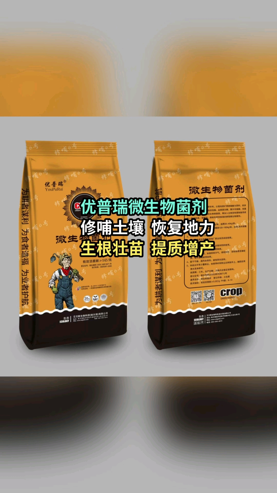 根微生物菌剂背后的秘密 绿色可持续发展观的实践