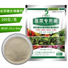 【蔬菜有机种植技术_蔬菜有机种植标准蔬菜有机肥料专用微生物菌剂图片】蔬菜有机种植技术_蔬菜有机种植标准蔬菜有机肥料专用微生物菌剂